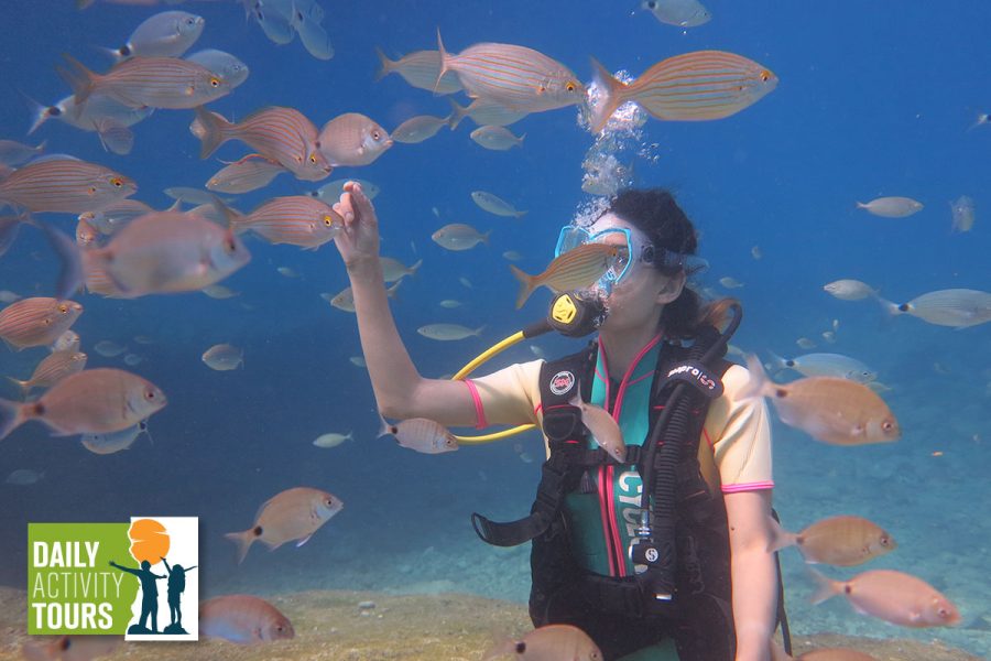 Fethiye Scuba Diving